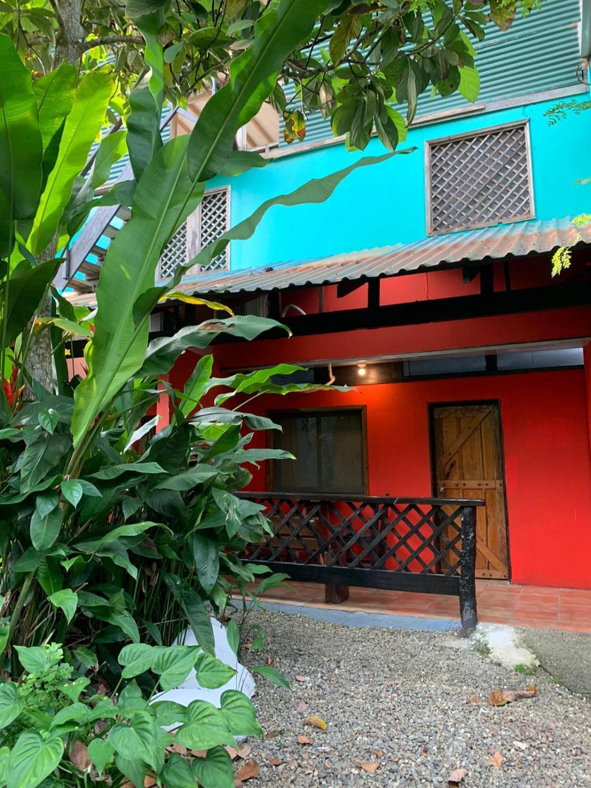 Kaya's Place&Playa Negra Brewing Beachfront Hotel Puerto Viejo de Talamanca Bagian luar foto