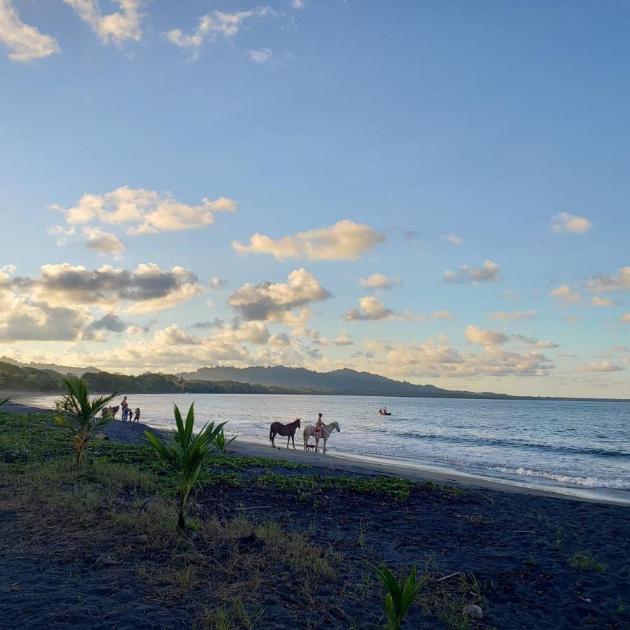 Kaya's Place&Playa Negra Brewing Beachfront Hotel Puerto Viejo de Talamanca Bagian luar foto